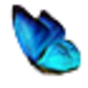 Butterfly Express Coupon Codes